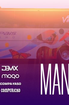MAN Lion's Coach v1.6